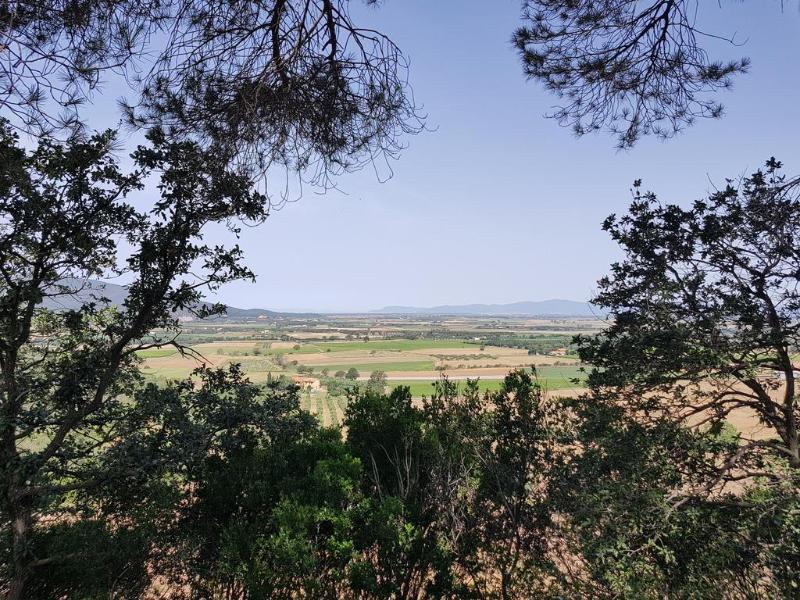 Willa Poggio Alto Agrioturismo Grosseto Zewnętrze zdjęcie